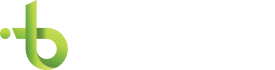 Business IT